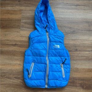 The North Face Summit Series Hooded Vest